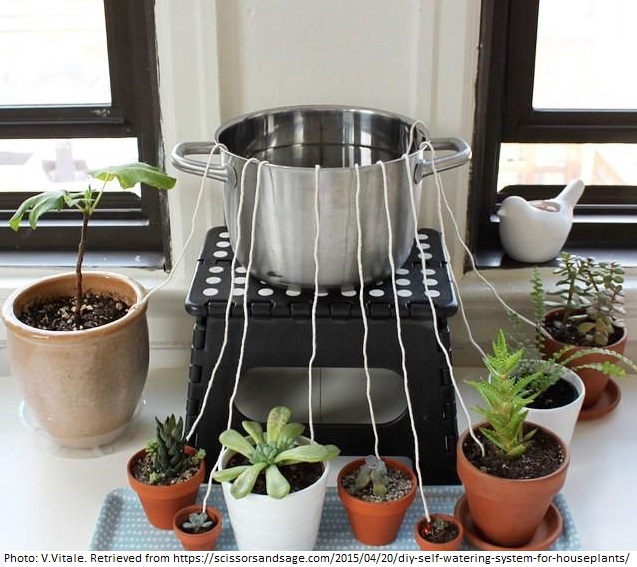 Self Watering